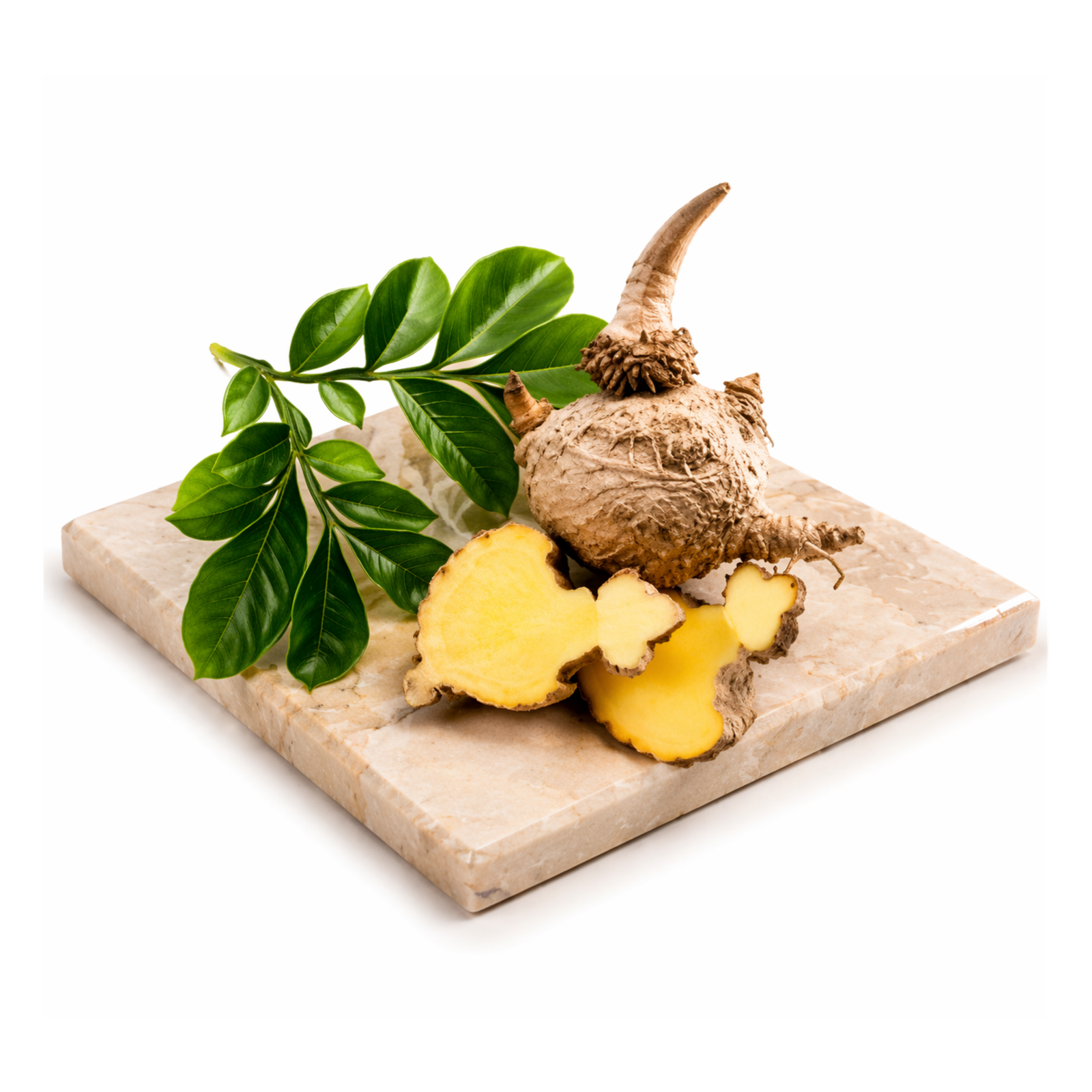 07. Konjak‑Wurzel/Glucomannan (8,5mg) - Der Butyrat‑Unterstützer